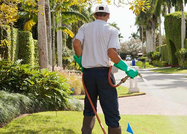 About Smithers WV Pest Control